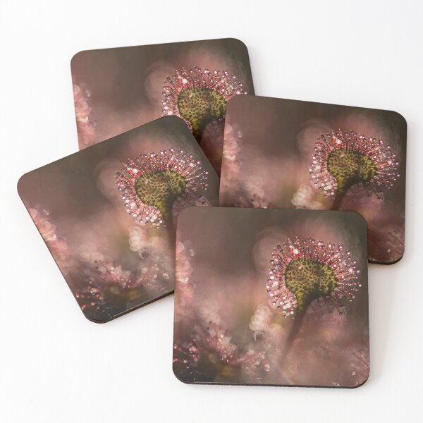 Item preview, Round-leafed sundew in a natural environment designed and sold by Elżbieta  Kaps.