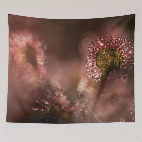 Item preview, Round-leafed sundew in a natural environment designed and sold by Elżbieta  Kaps.