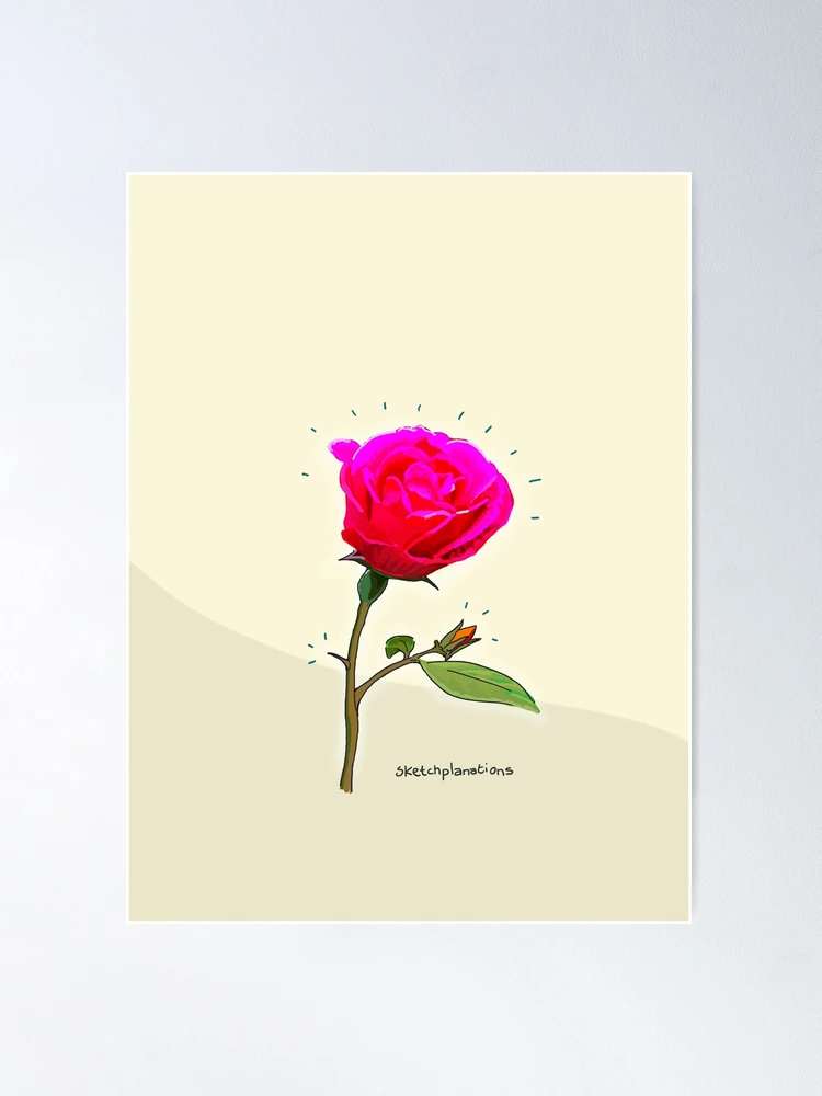 絵本・児童書 Thorn Rose picture book Amazon.co.jp: Thorn Rose : 本