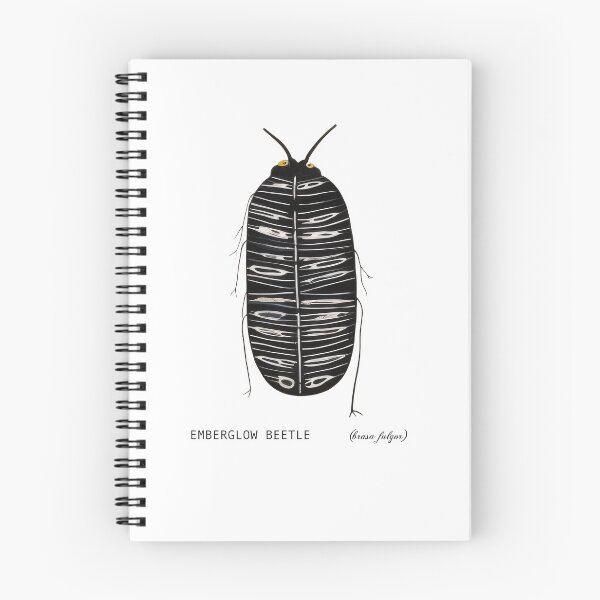 Item preview, Emberglow Beetle (brasa fulgor) designed and sold by WhiskerWish.