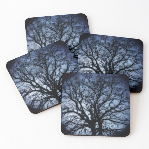 Item preview, Winter beech, Bridlington, dreamy edit designed and sold by paulboizot.