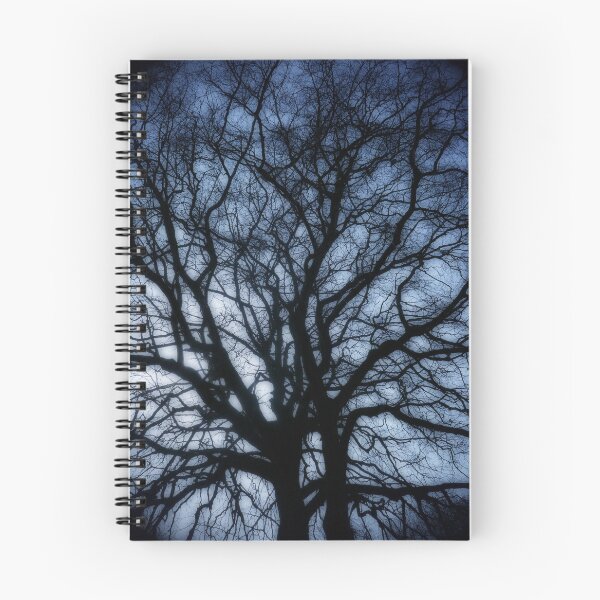 Item preview, Winter beech, Bridlington, dreamy edit designed and sold by paulboizot.