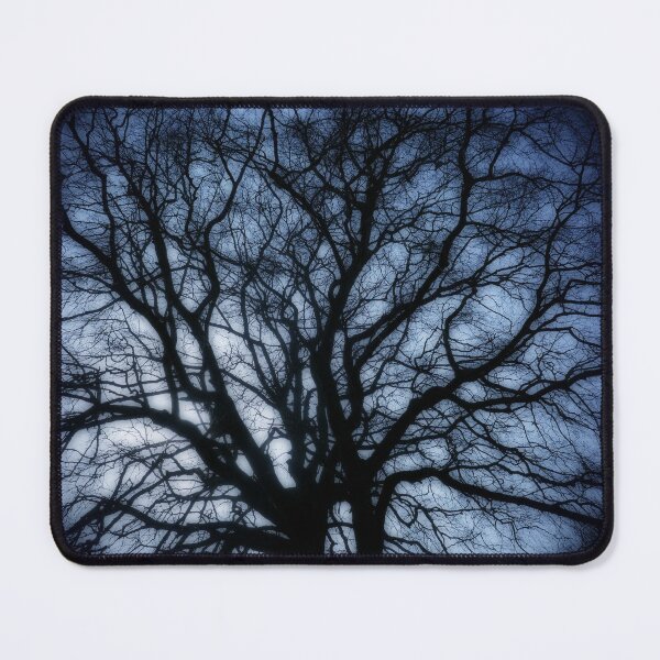 Item preview, Winter beech, Bridlington, dreamy edit designed and sold by paulboizot.