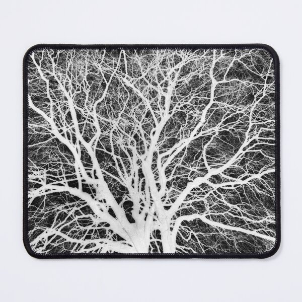 Item preview, Winter beech, Bridlington, grayscale inverted designed and sold by paulboizot.