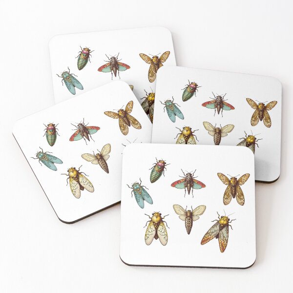 Item preview, Cicada Emergence, Insect Lover Gifts, Bug Sticker, Nature designed and sold by LittleLoveFinds.
