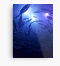 Something Fishy Metal Print