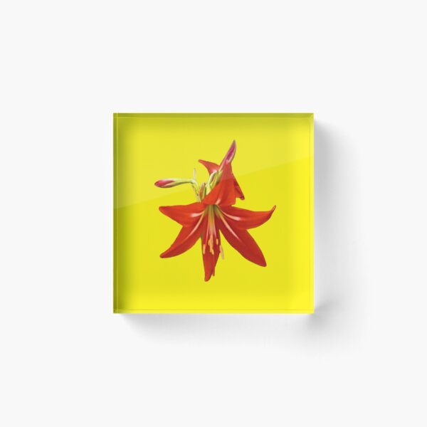 Item preview, Spring Blooms designed and sold by trailsitravel.