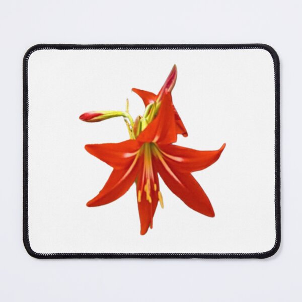 Item preview, Spring Blooms designed and sold by trailsitravel.