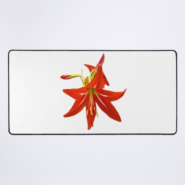 Item preview, Spring Blooms designed and sold by trailsitravel.