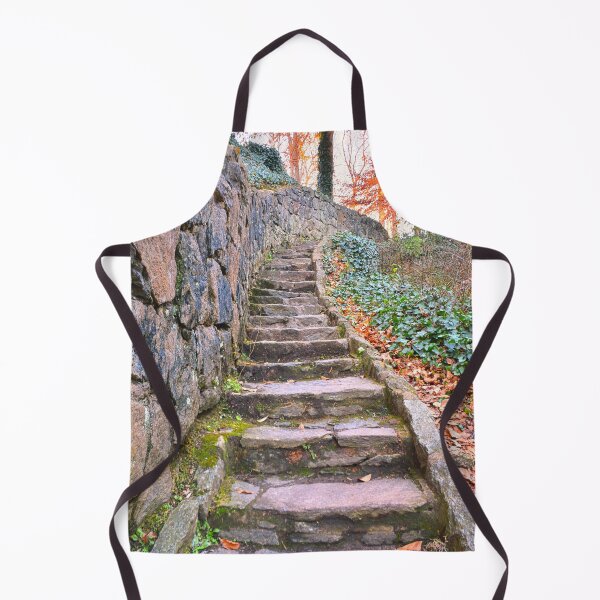 Item preview, The Stone Steps In Falls Park On The Reedy designed and sold by LisaWootenPhoto.