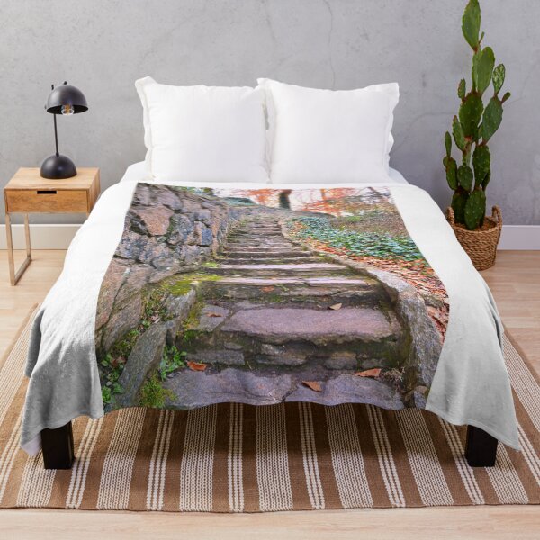 Item preview, The Stone Steps In Falls Park On The Reedy designed and sold by LisaWootenPhoto.