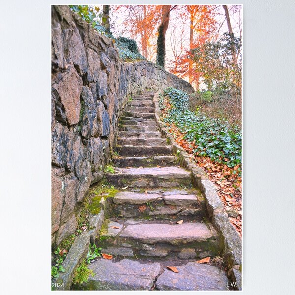 Item preview, The Stone Steps In Falls Park On The Reedy designed and sold by LisaWootenPhoto.