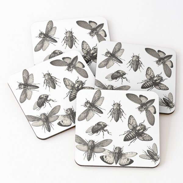 Item preview, Copy of Cicada Emergence, Insect Lover Gifts, Bug Sticker, Nature designed and sold by LittleLoveFinds.