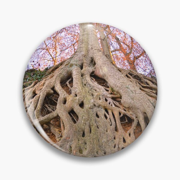 Item preview, Exposed Roots designed and sold by LisaWootenPhoto.