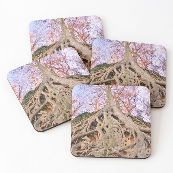 Item preview, Exposed Roots designed and sold by LisaWootenPhoto.