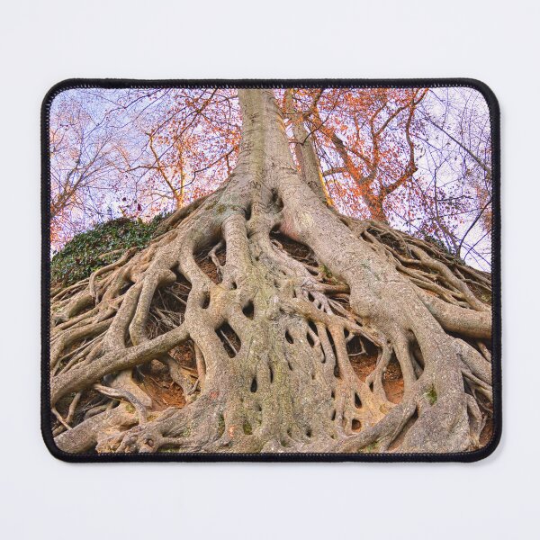 Item preview, Exposed Roots designed and sold by LisaWootenPhoto.