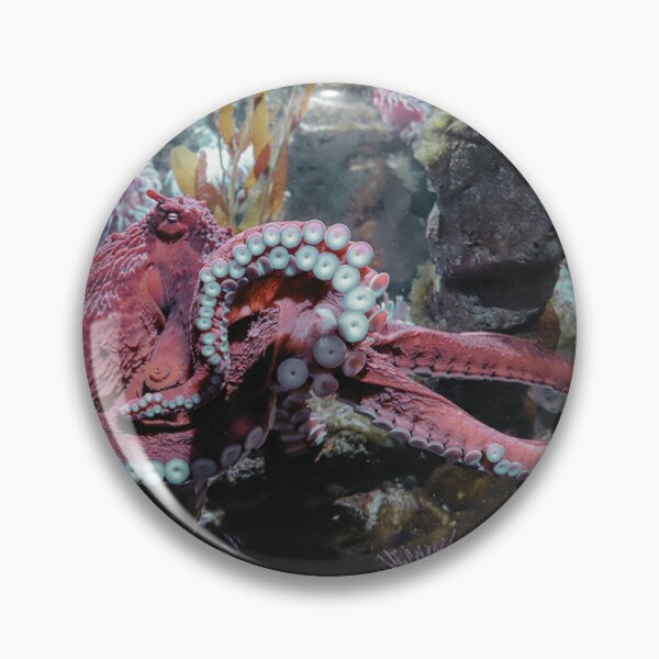 Item preview, Remarkably Bright Creatures Poaster (v1) designed and sold by BasicArtChick.