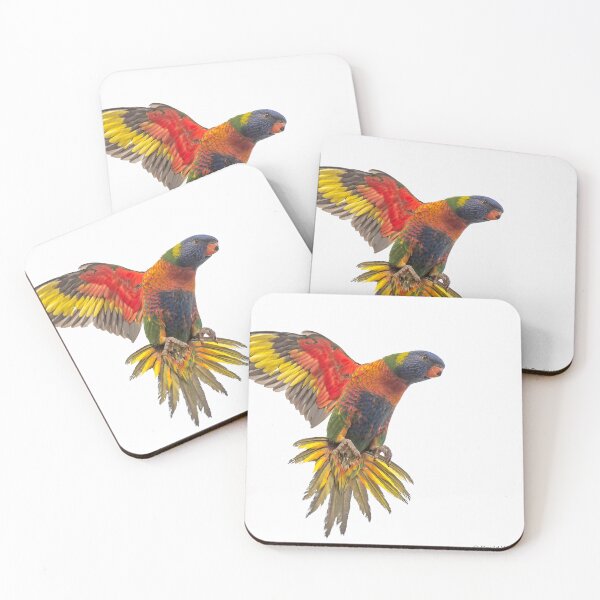 Item preview, Rainbow Lorikeet landing designed and sold by Wildpix.