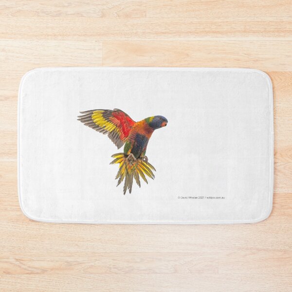 Item preview, Rainbow Lorikeet landing designed and sold by Wildpix.