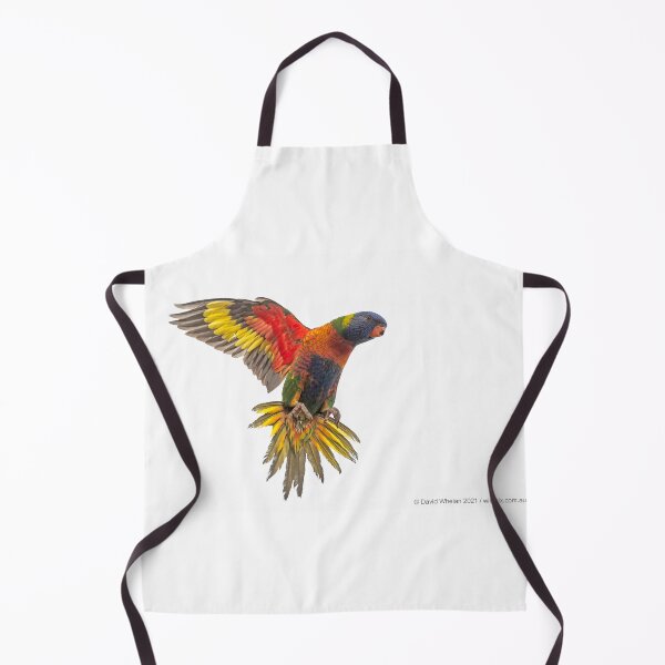 Item preview, Rainbow Lorikeet landing designed and sold by Wildpix.