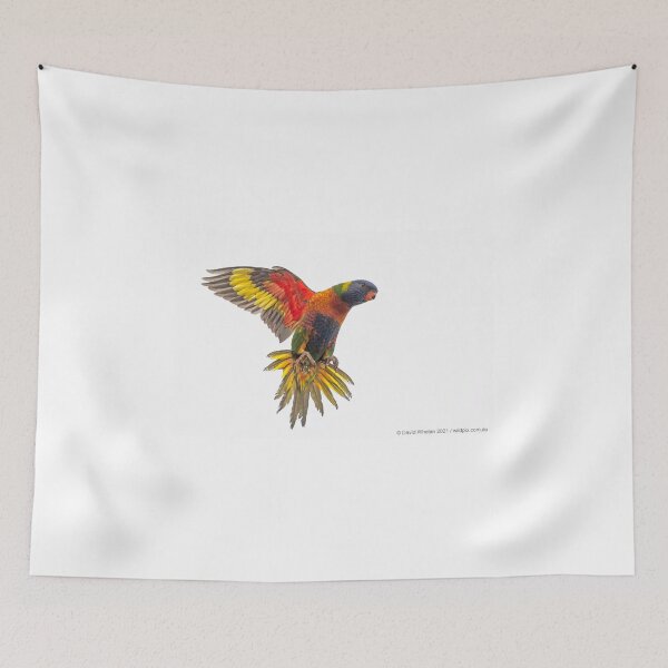 Item preview, Rainbow Lorikeet landing designed and sold by Wildpix.
