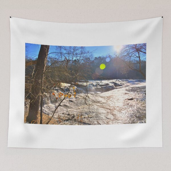 Item preview, Looking Down Cedar Falls Park Waterfall Fountain Inn South Carolina designed and sold by LisaWootenPhoto.