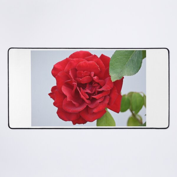 Item preview, Red rose designed and sold by bagiolita.