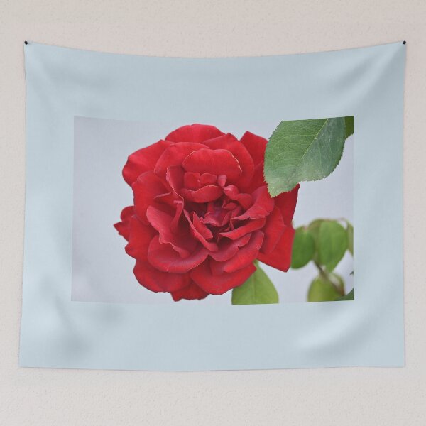 Item preview, Red rose designed and sold by bagiolita.