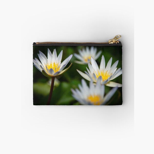Item preview, Water Lily's designed and sold by bstoecker.