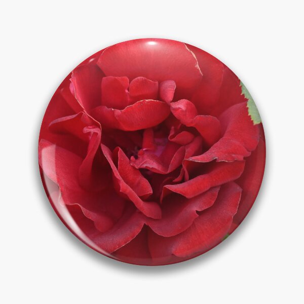 Item preview, Red rose designed and sold by bagiolita.