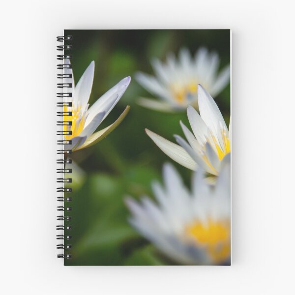 Item preview, Water Lily's designed and sold by bstoecker.
