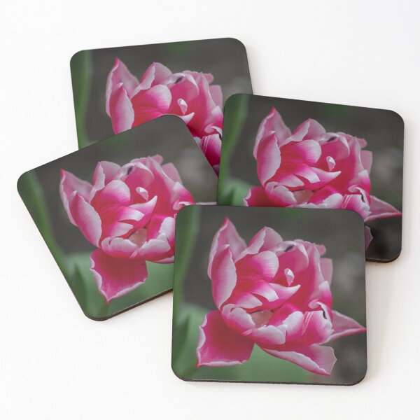 Item preview, Spring has sprung. designed and sold by Jennifer Michalski.