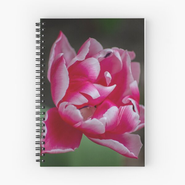 Item preview, Spring has sprung. designed and sold by Jennifer Michalski.