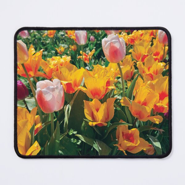 Item preview, Tulips in Mt. Vernon, Washington State designed and sold by Vern Treat.