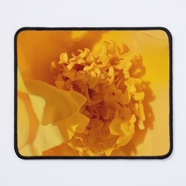 Item preview, Yellow Rose designed and sold by amanda150771.