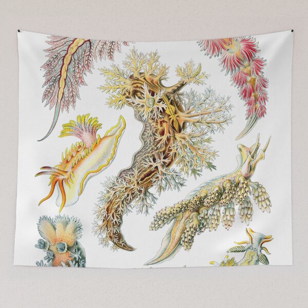 Item preview, Aquatic Life Animals designed and sold by JoolyA.
