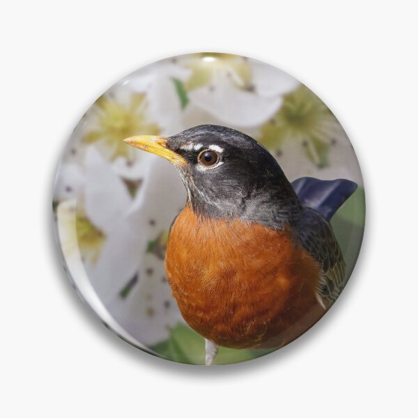 Item preview, Robin and Bradford Pear (Photo Art) by Haley Cran designed and sold by True Bliss  Nature.