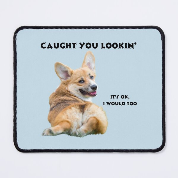 Item preview, Corgi Caught You Lookin' (black text) designed and sold by SweetsAndSavary.
