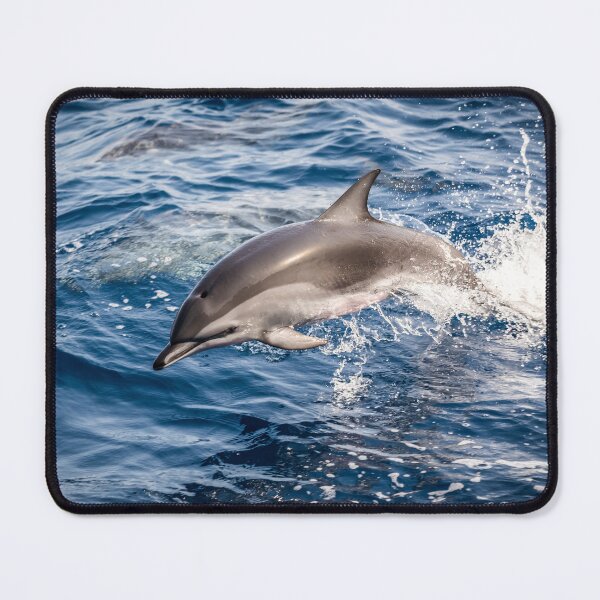 Item preview, Wild dolphins jumping in the waves designed and sold by skalihm.