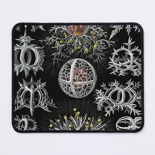 Item preview, Aquatic Life Animals designed and sold by JoolyA.