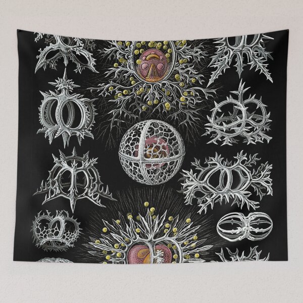 Item preview, Aquatic Life Animals designed and sold by JoolyA.