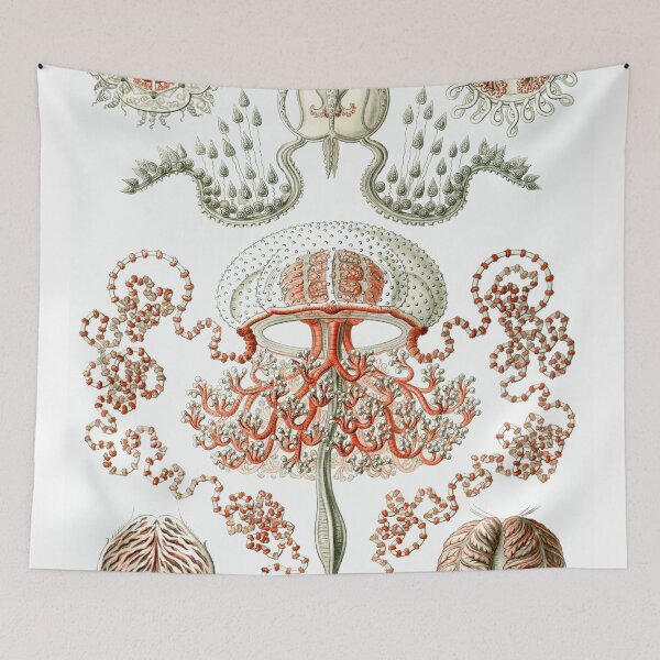 Item preview, Aquatic Life Animals designed and sold by JoolyA.