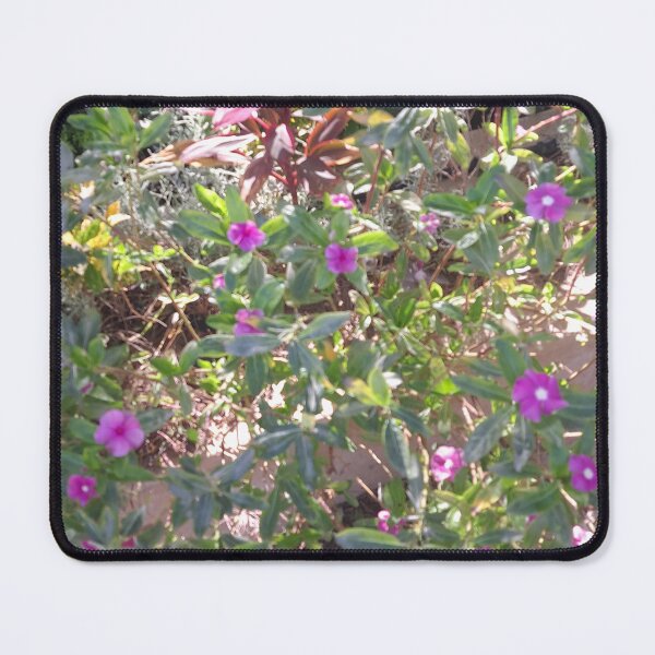 Item preview, violet flower in the garden  designed and sold by sadeek1021953Ss.