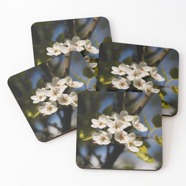 Item preview, Plum tree blossoms designed and sold by Cblifeisgood.