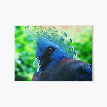 Item preview, Victoria Crowned-Pigeon designed and sold by schostix.