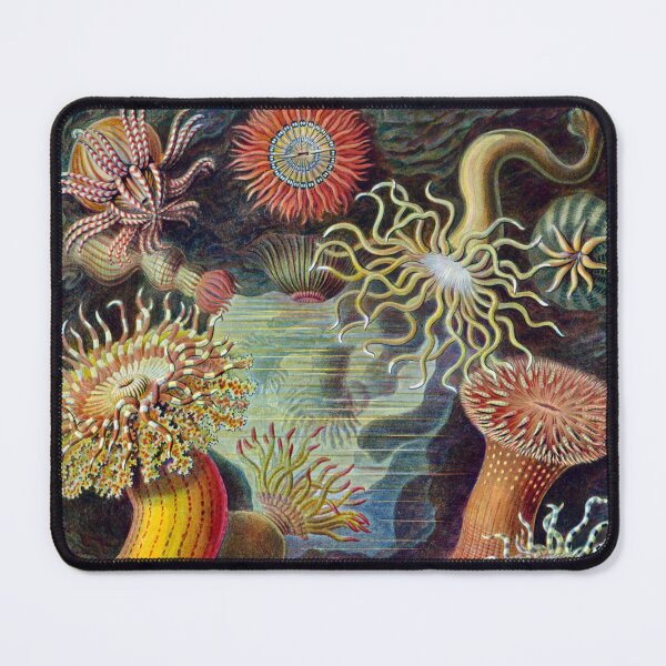 Item preview, Aquatic Life Animals designed and sold by JoolyA.
