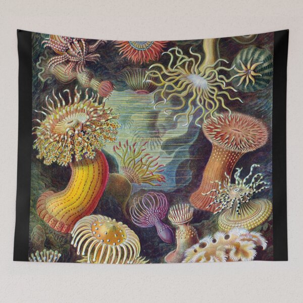 Item preview, Aquatic Life Animals designed and sold by JoolyA.