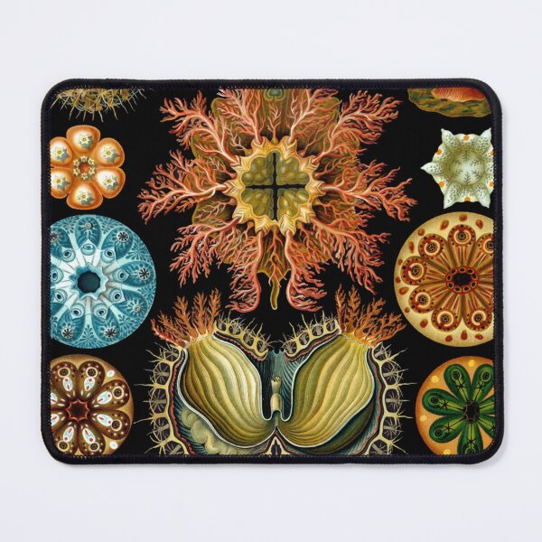 Item preview, Aquatic Life Animals designed and sold by JoolyA.