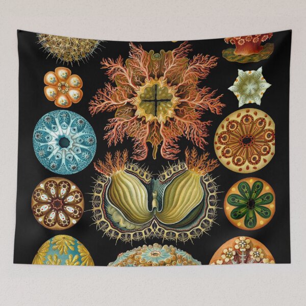 Item preview, Aquatic Life Animals designed and sold by JoolyA.