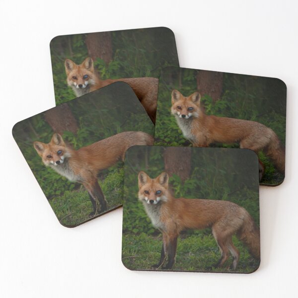 Item preview, Battle-Eyed Red Fox designed and sold by George Conover.